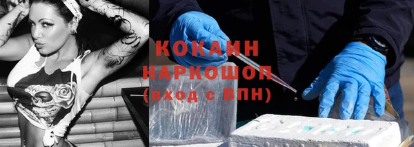 mix Богородицк