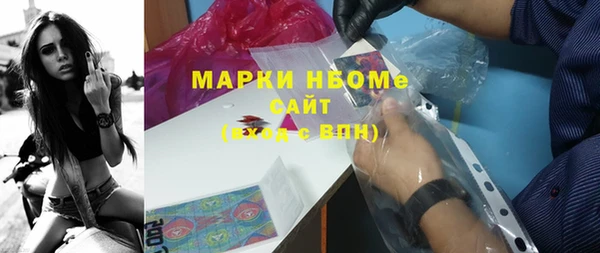 дурь Бородино