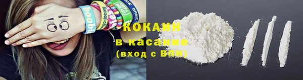 дурь Бородино