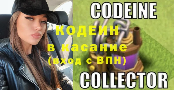 дурь Бородино