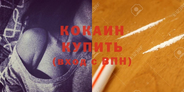 дурь Бородино