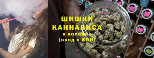 дурь Бородино