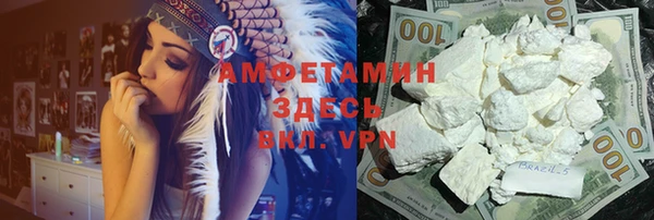 дурь Бородино